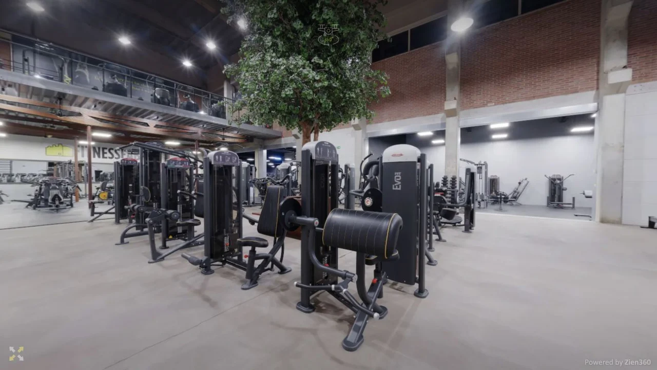 Strength equipment at Fitness Fabriek Dokkum