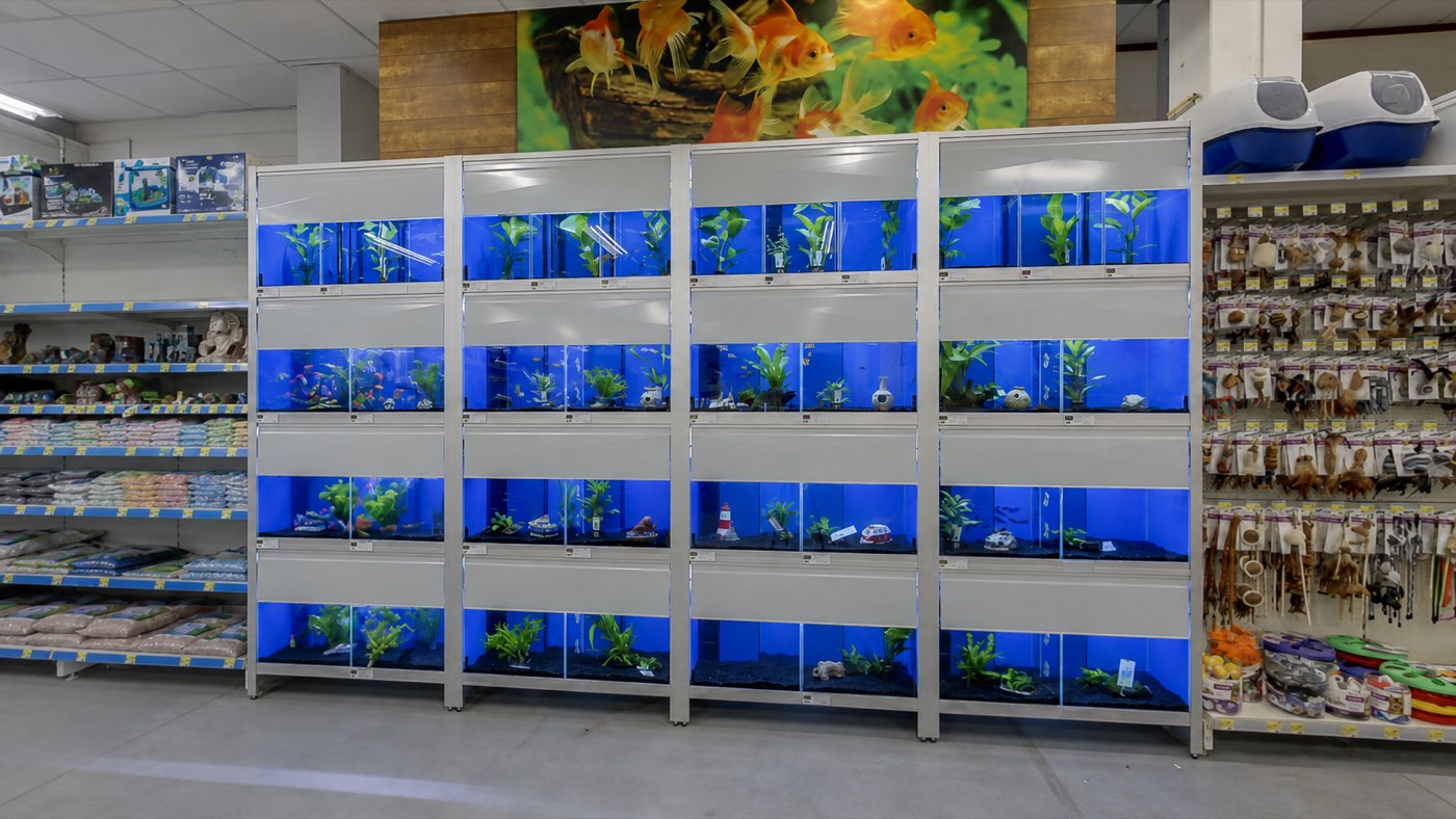 Aquariumafdeling van Jumper Amersfoort