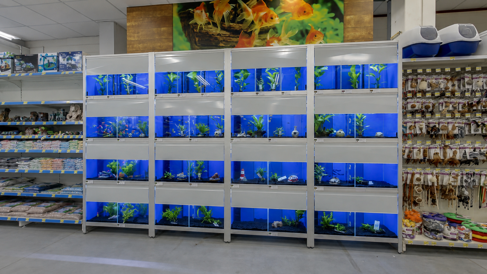 Aquariumafdeling van Jumper Amersfoort