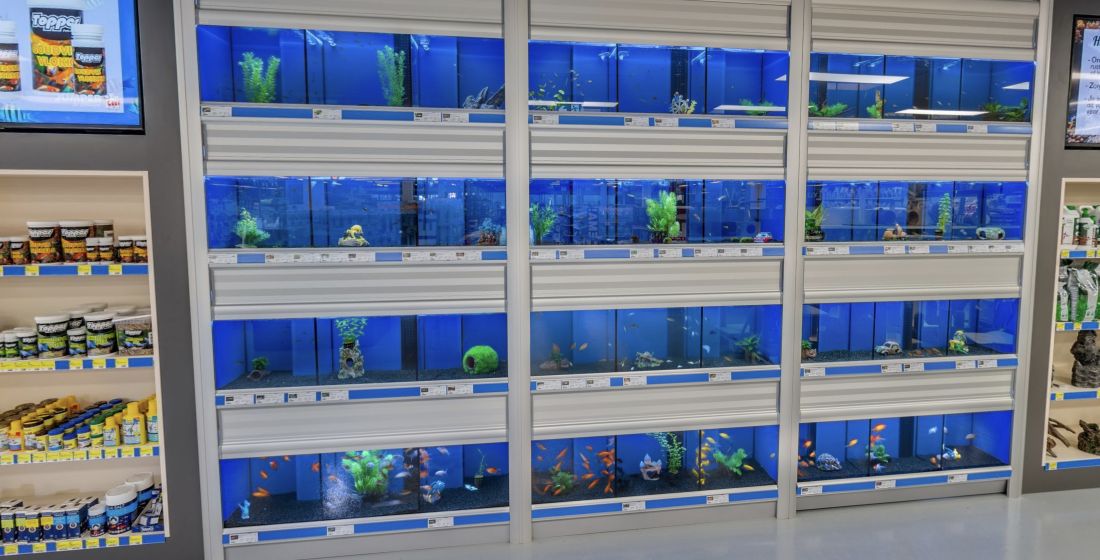 Jumper Almelo aquarium department Aquarium department with fish at Jumper Almelo
